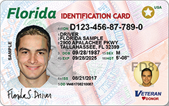 Florida temporary driver